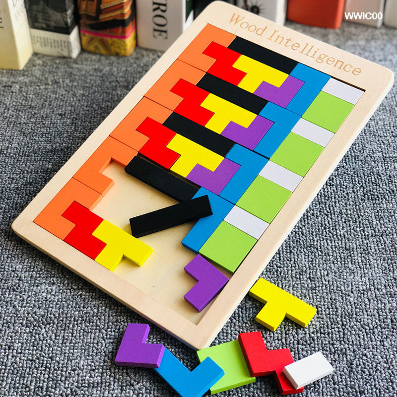 Wooden Intelligence Puzzle Toy