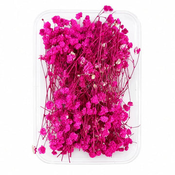 Premium Pink Dried Flower for Resin Dry Flower Box l Pack of 1 Box