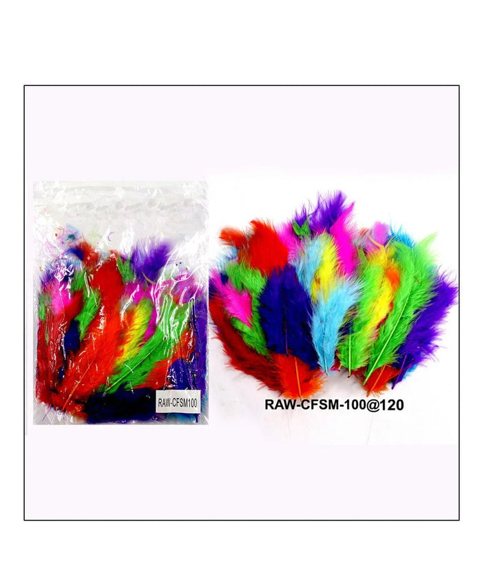 Craft Feather Small 100Pcs Raw-Cfsm100 | INKARTO