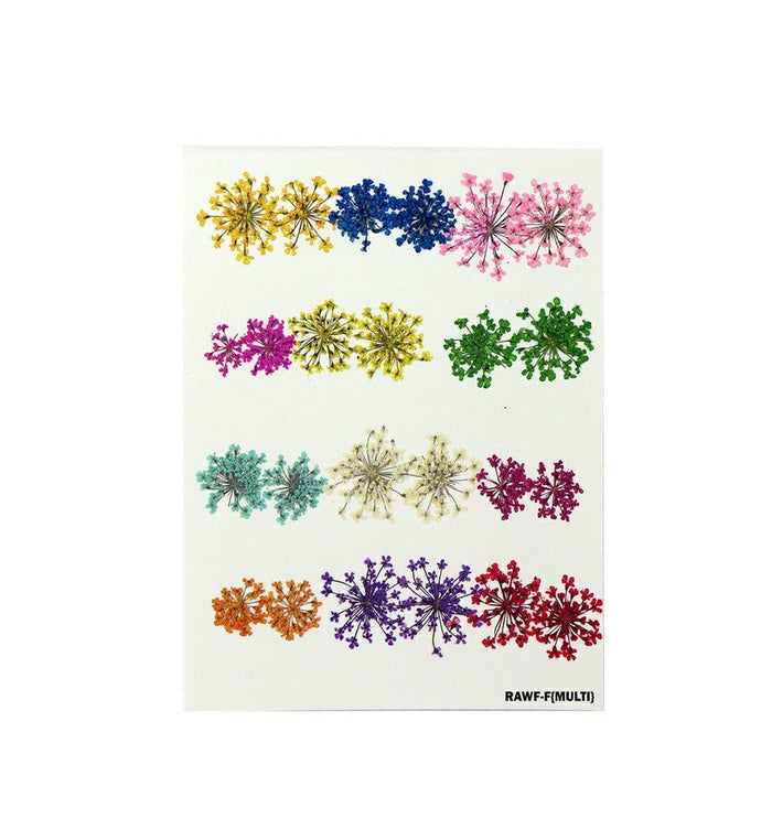 Assorted Pressed Flowers Sheet – Aesthetic Craft & Decoration Pack | Pack of 1