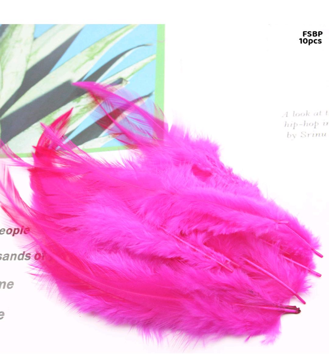 Feather Soft Big Pink (Fsbp) (10Pcs)