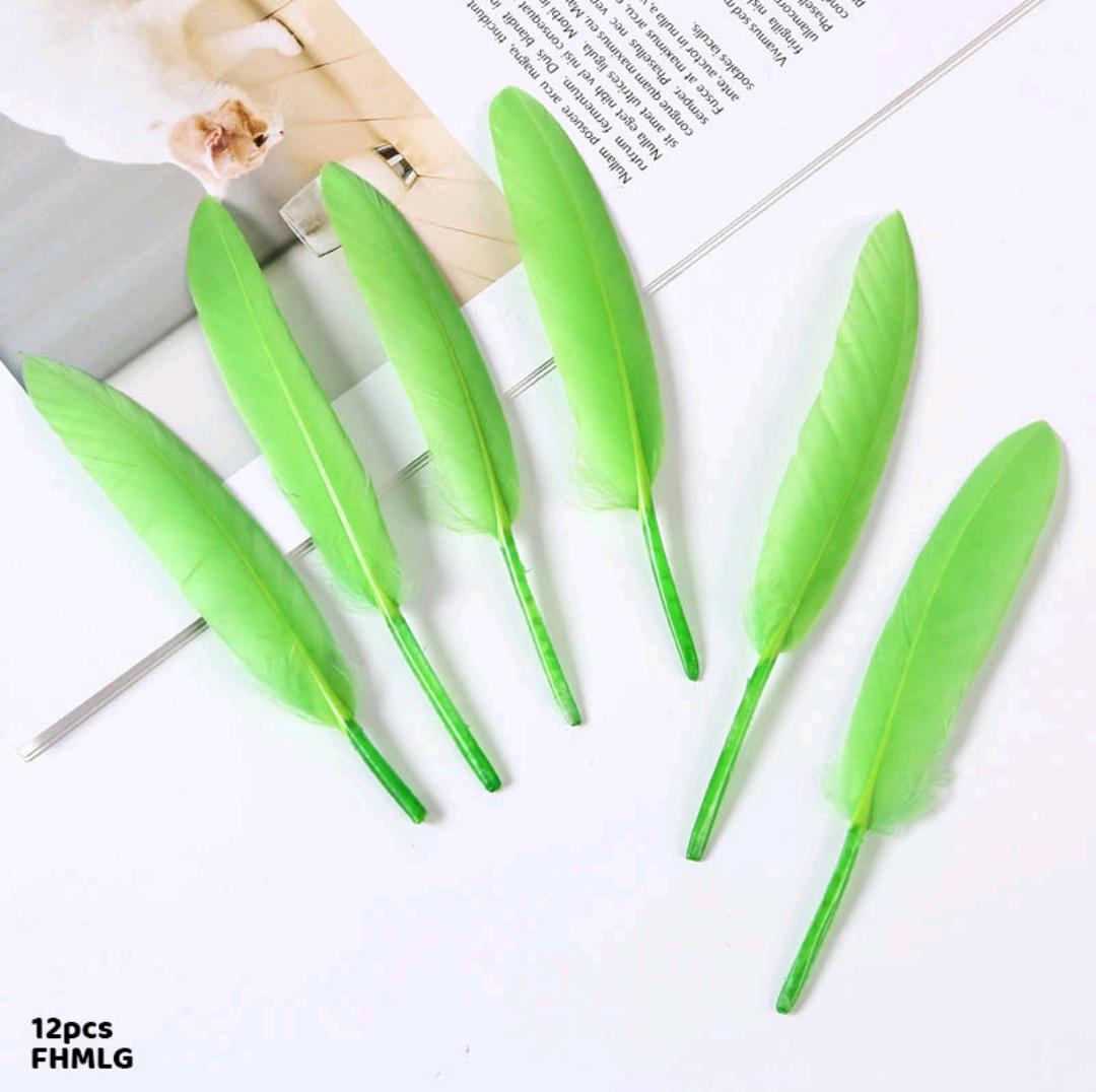 Feather Hard Small Light Green (Fhmlg) (12Pcs)