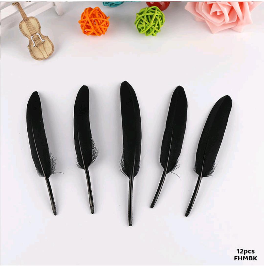 Feather Hard Small Black (Fhmbk) (12Pcs)