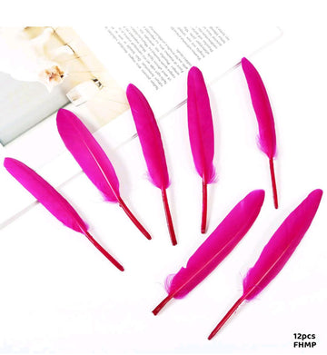 Feather Hard Small Light Pink (Fhmp) (12Pcs)