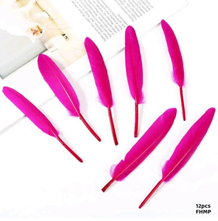 Small Hard Light Pink Feathers for Delicate Crafts (12pcs) pack of 1