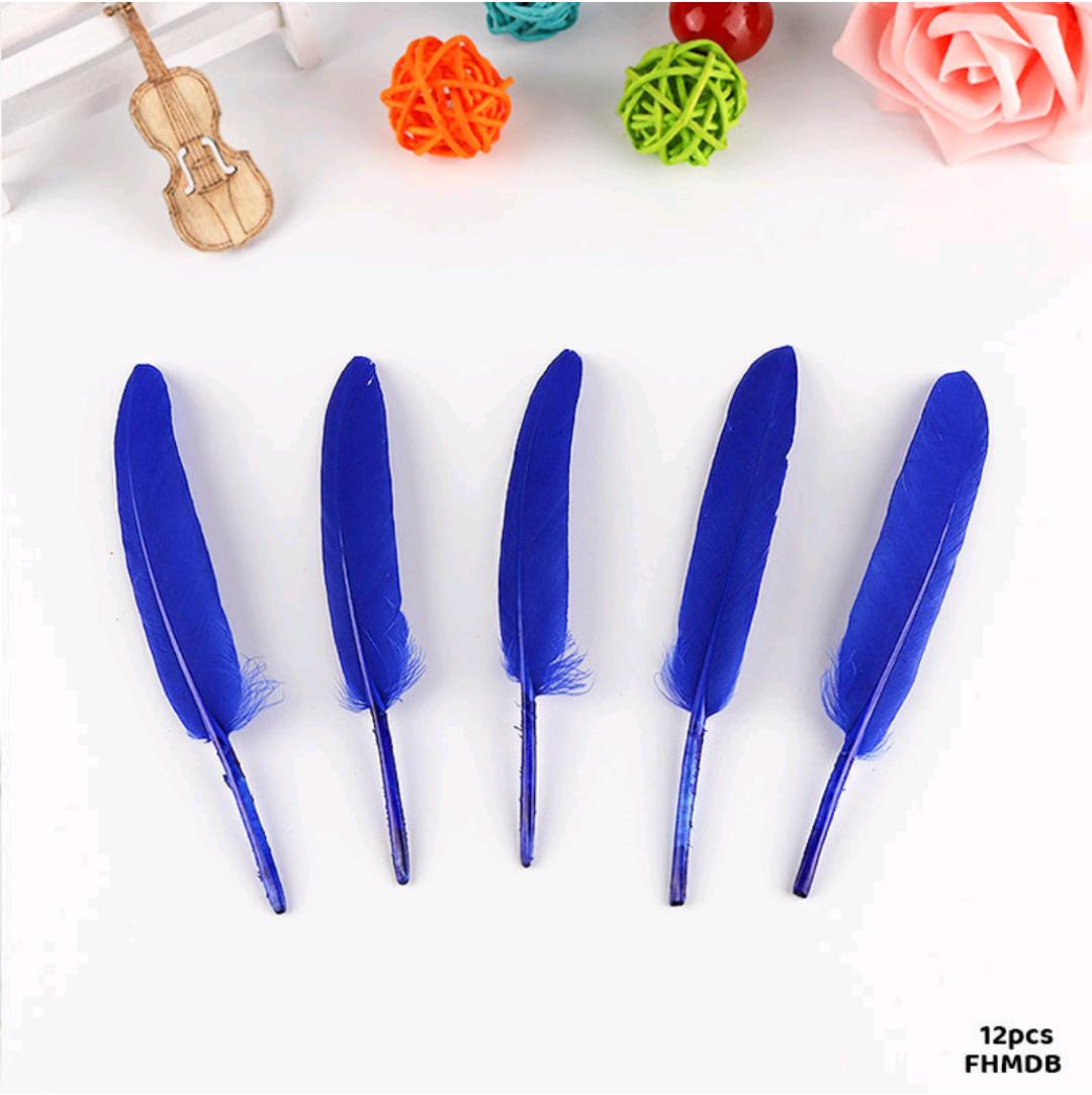 Feather Hard Small Dark Blue (Fhmdb) (12Pcs)