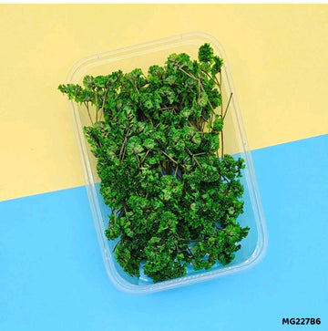 Premium Green white Dried Flower for Resin Dry Flower Box l Pack of 1 box