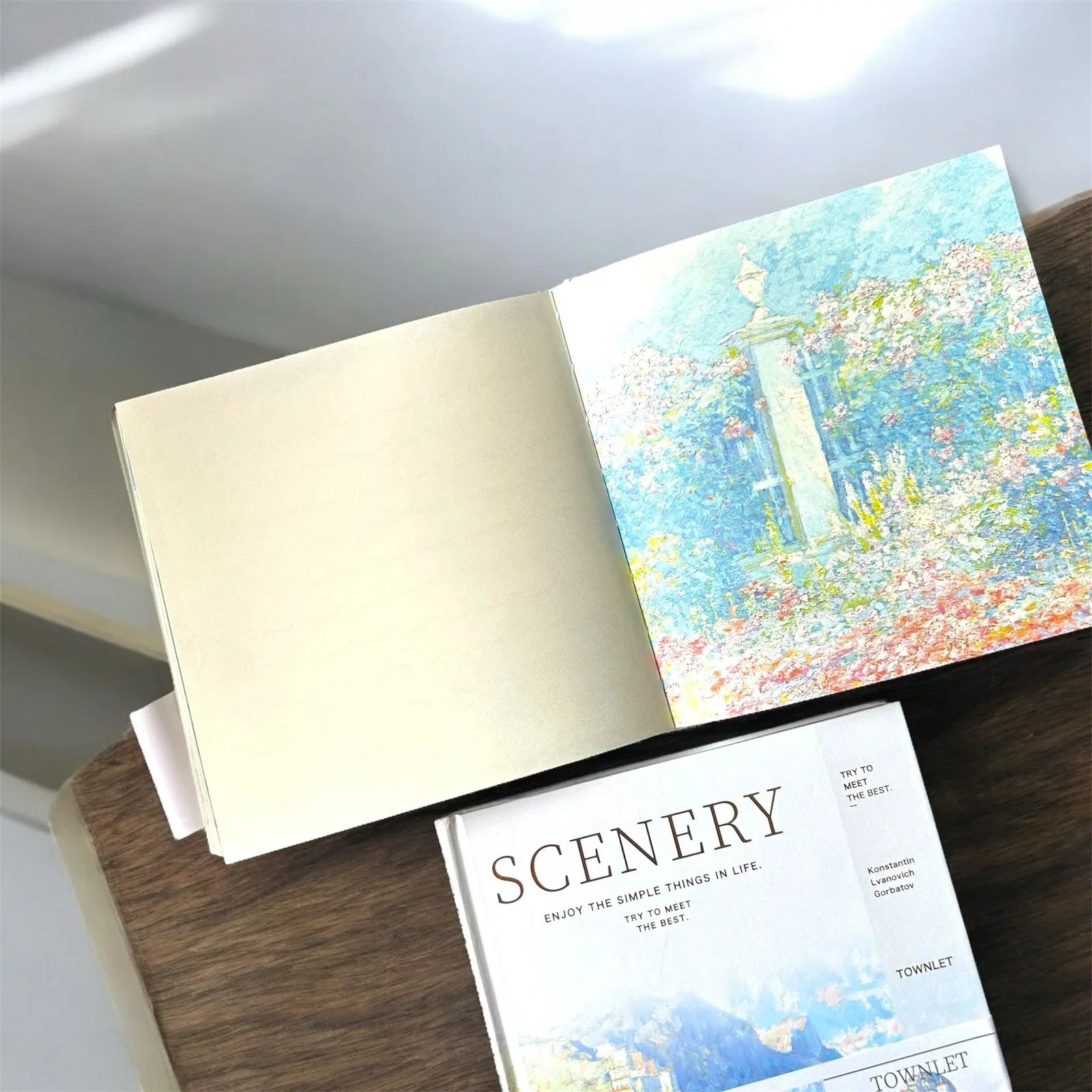 Premium Van gogh edition- Scenic Printed Fancy Hardbound Diary l Pack of 1