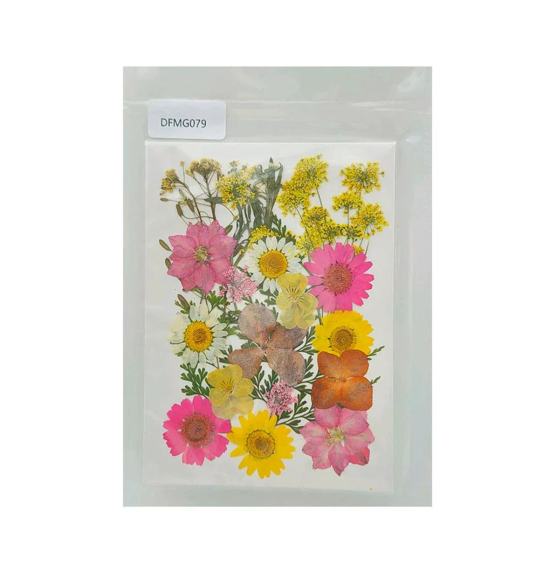 Colorful Pressed Flower Set – DIY Jewelry, Resin & Craft Supplies | Pack of 1