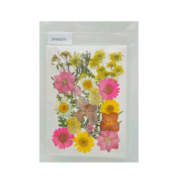 Assorted Natural Pressed Flowers for Resin & Crafts