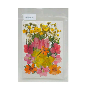 Assorted Dried Flowers for Resin Art