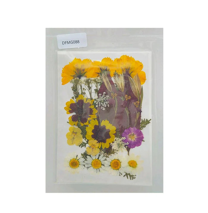 Premium Pressed Flower Sheet – DIY Resin Art & Craft Decoration | Pack of 1