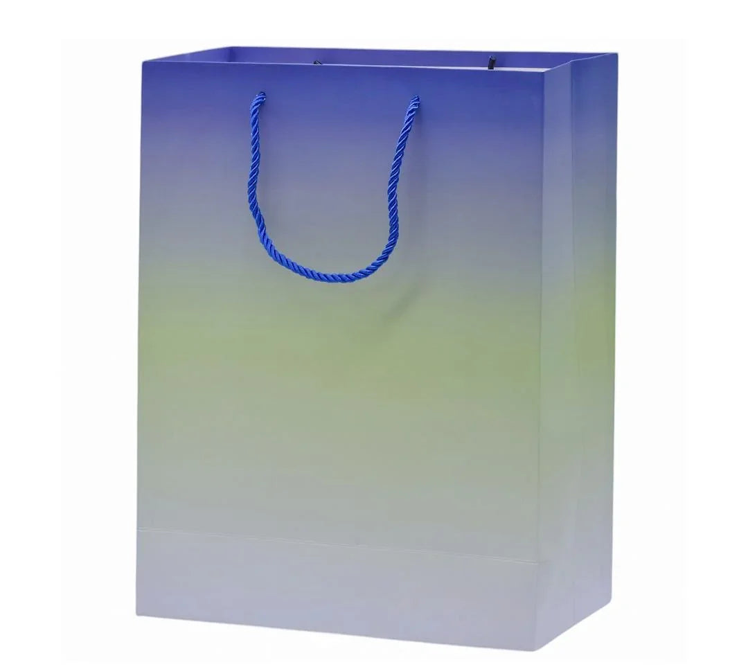 Paper Bag Medium A4 Size 26X32X10CM | SM1925M-3