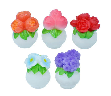 Miniature Flower Pot Lotus 5 Pcs Set | C1510-B