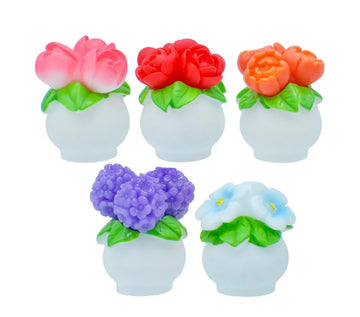 Miniature Flower Pot Rose 5 Pcs Set | C1510-A