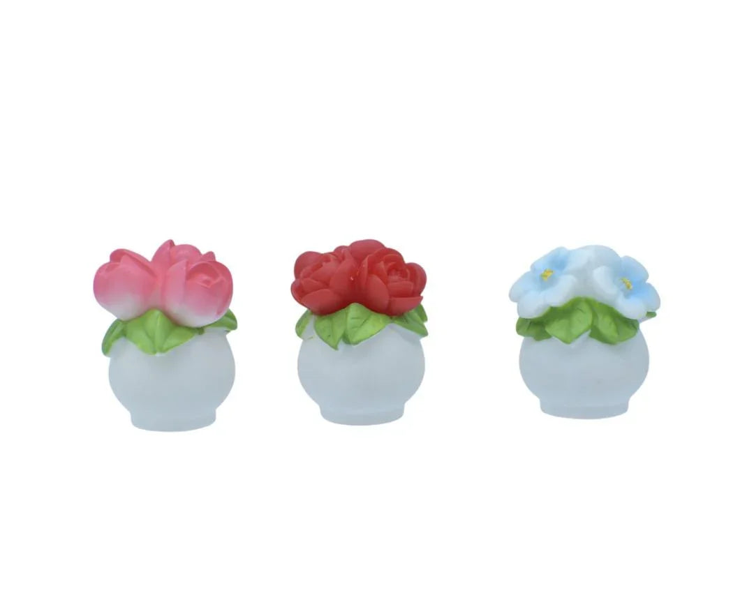 Miniature Flower Pot Rose 5 Pcs Set | C1510-A
