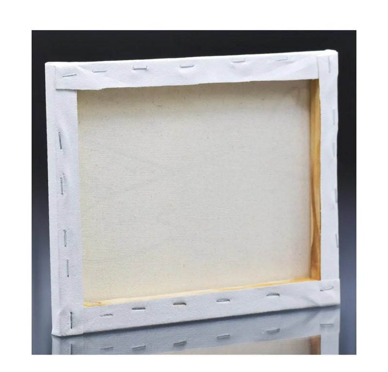 Stretched Canvas With Print Fish 8x10 SCW810-9