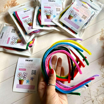 Pipe cleaner trial pack (10 pipe cleaner)