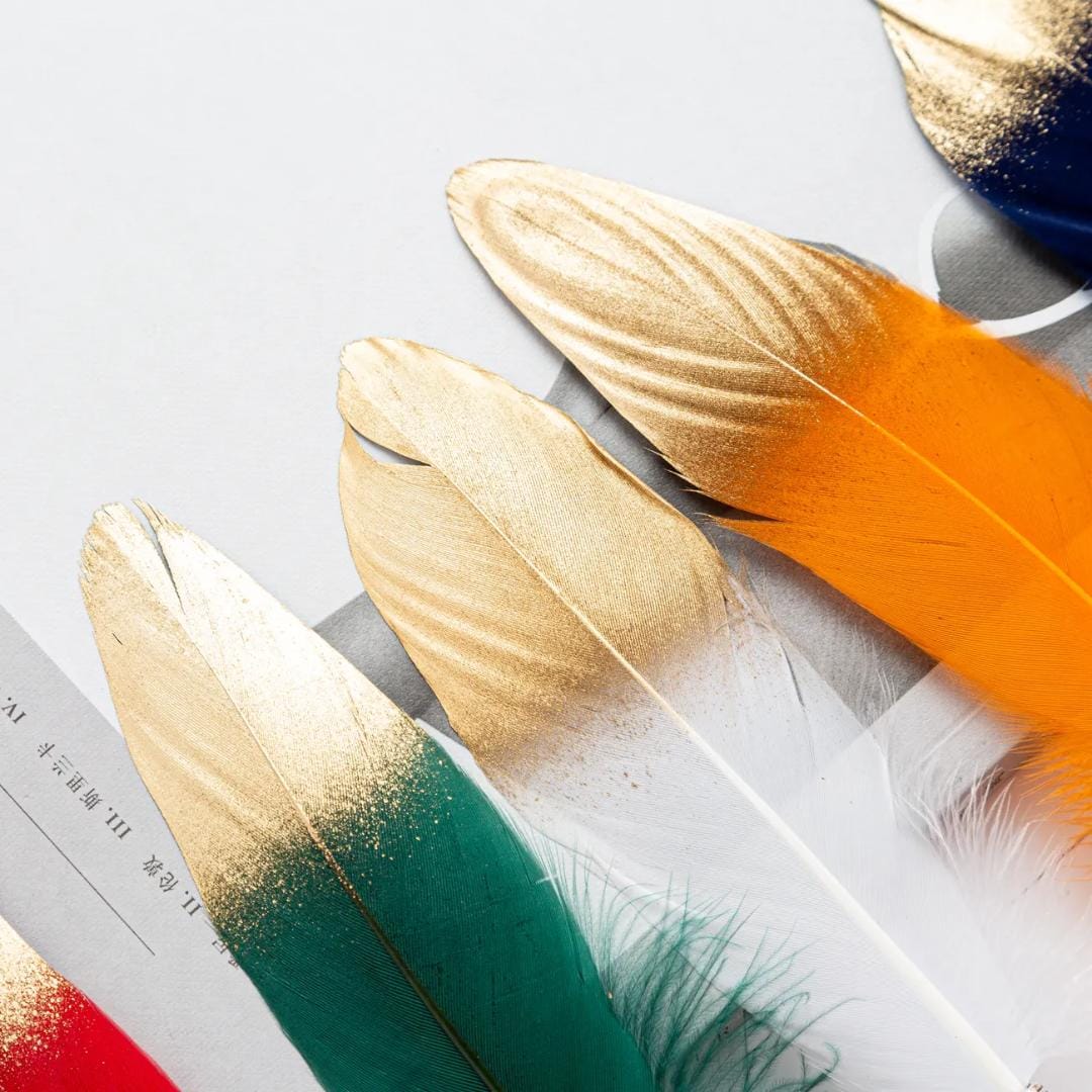 Premium Feather ball Pen l Pack of 1 l Return gift