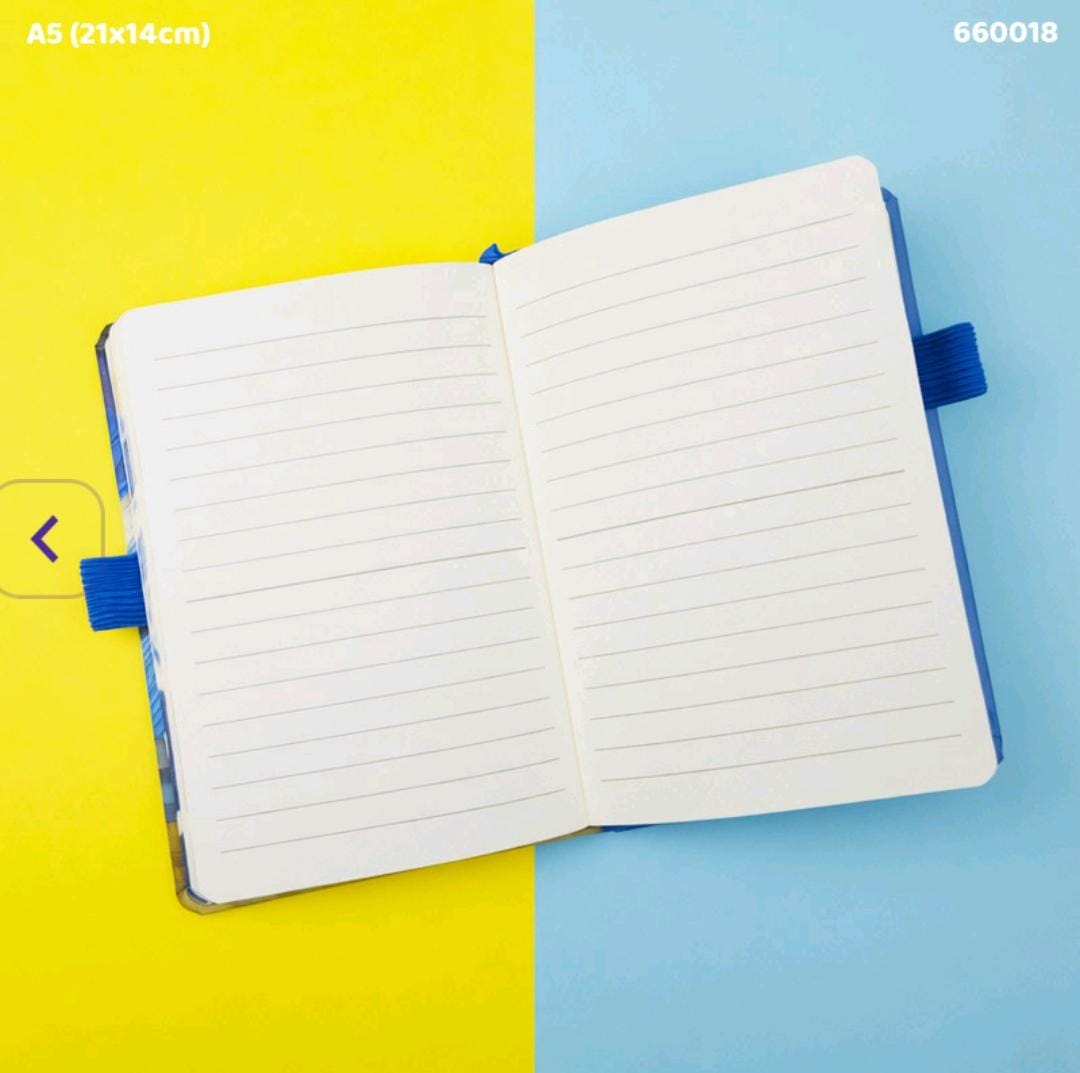 Van gogh starry night Journal Diary