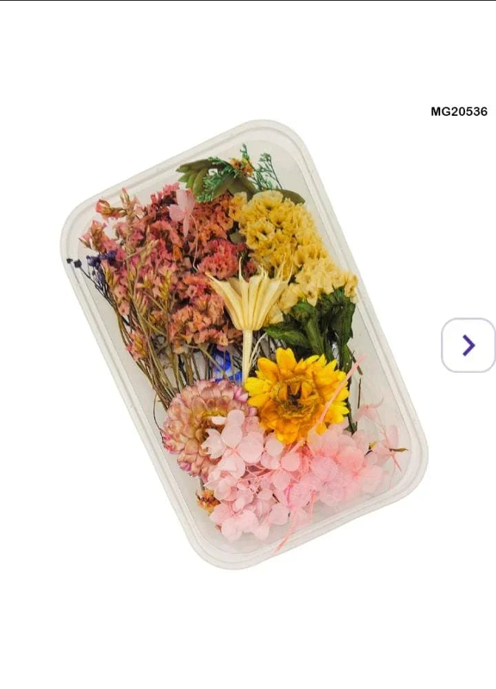 Dried Flower for Resin Dry Flower Box Mg205-36