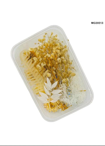 Dry Flower Box l Pack of 1