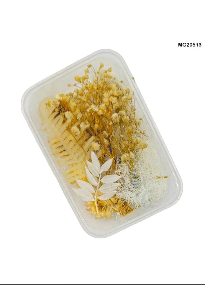 Dry Flower Box l Pack of 1