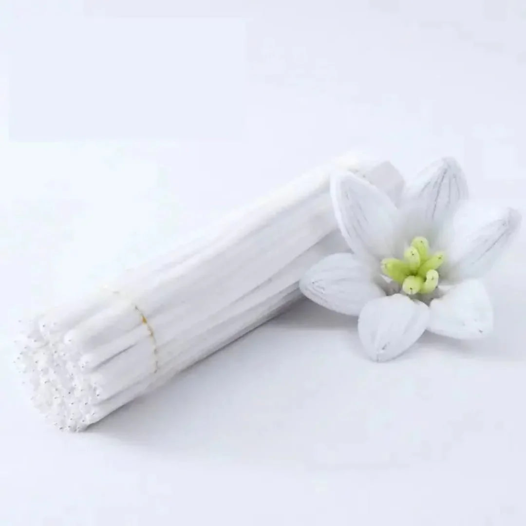 Buy 1 Get 1 Free White Pipe Cleaner 200 pcs