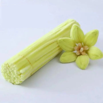 Pastel Yellow Pipe Cleaners Plain | 100 Pc Pack (PT04)