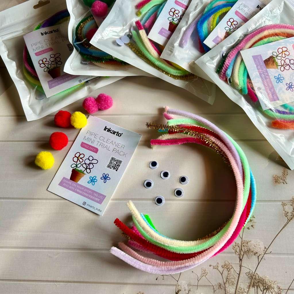 Free gift: Craft pipe cleanner mini pack