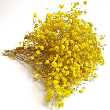 Premium Yellow Dried Flower for Resin Dry Flower Box l Pack of 1 box