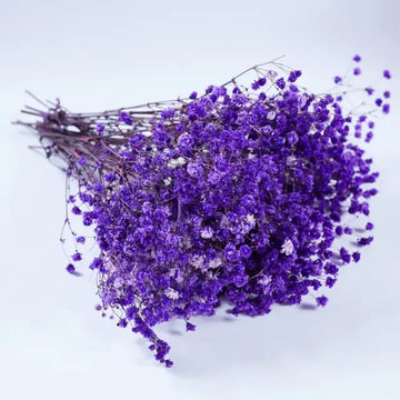 Premium Lilac Dried Flower for Resin Dry Flower Box l Pack of 1 Box
