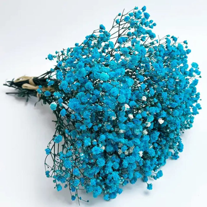 Premium Blue white shade Dry Flower Box for resin l Pack of 1 box