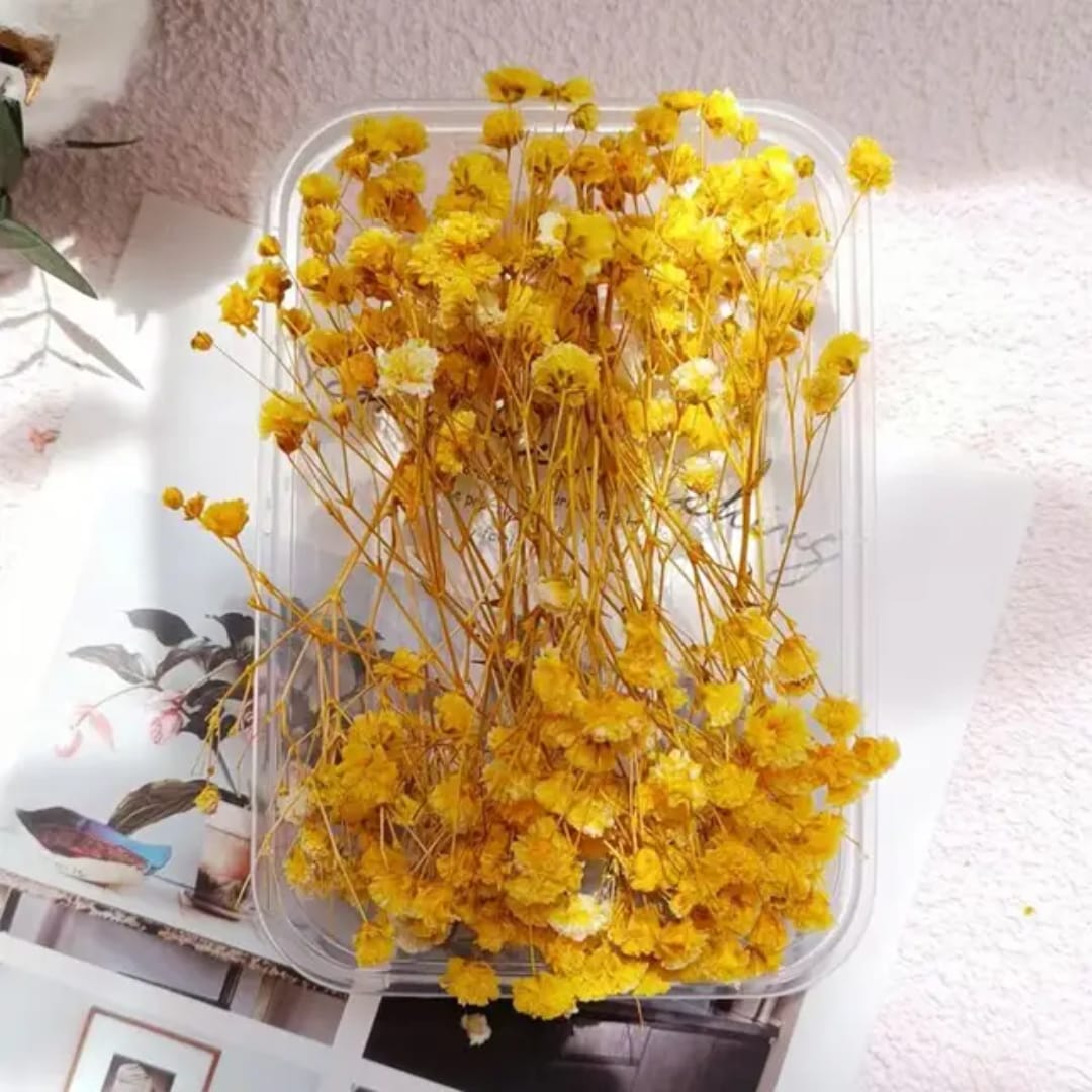 Premium Yellow Dried Flower for Resin Dry Flower Box l Pack of 1 box