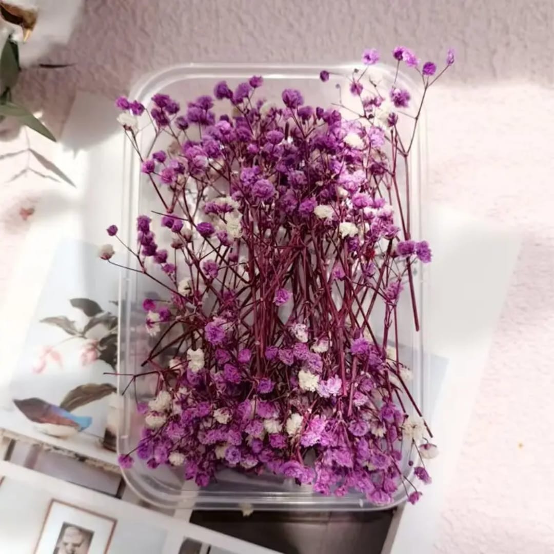 Premium Lilac Dried Flower for Resin Dry Flower Box l Pack of 1 Box