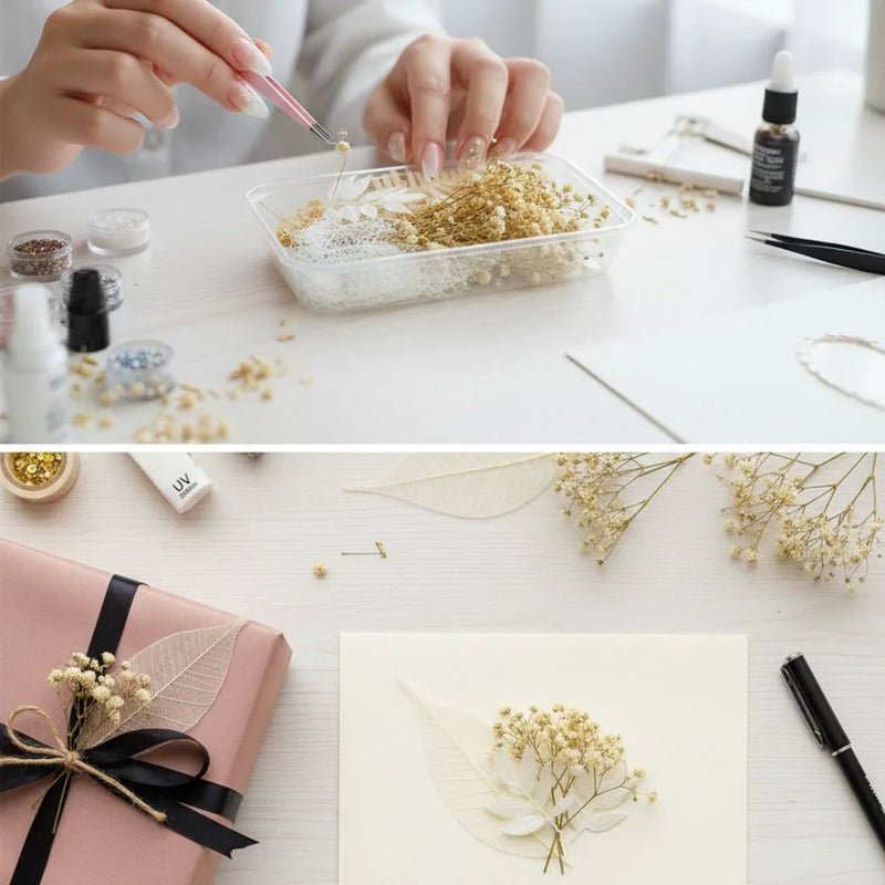 Dry Flower Box l Pack of 1