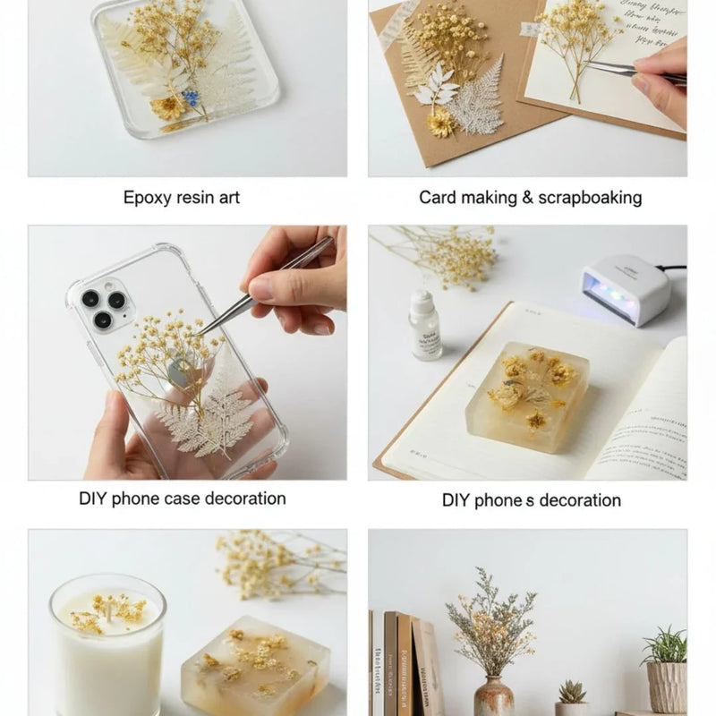 Dry Flower Box l Pack of 1