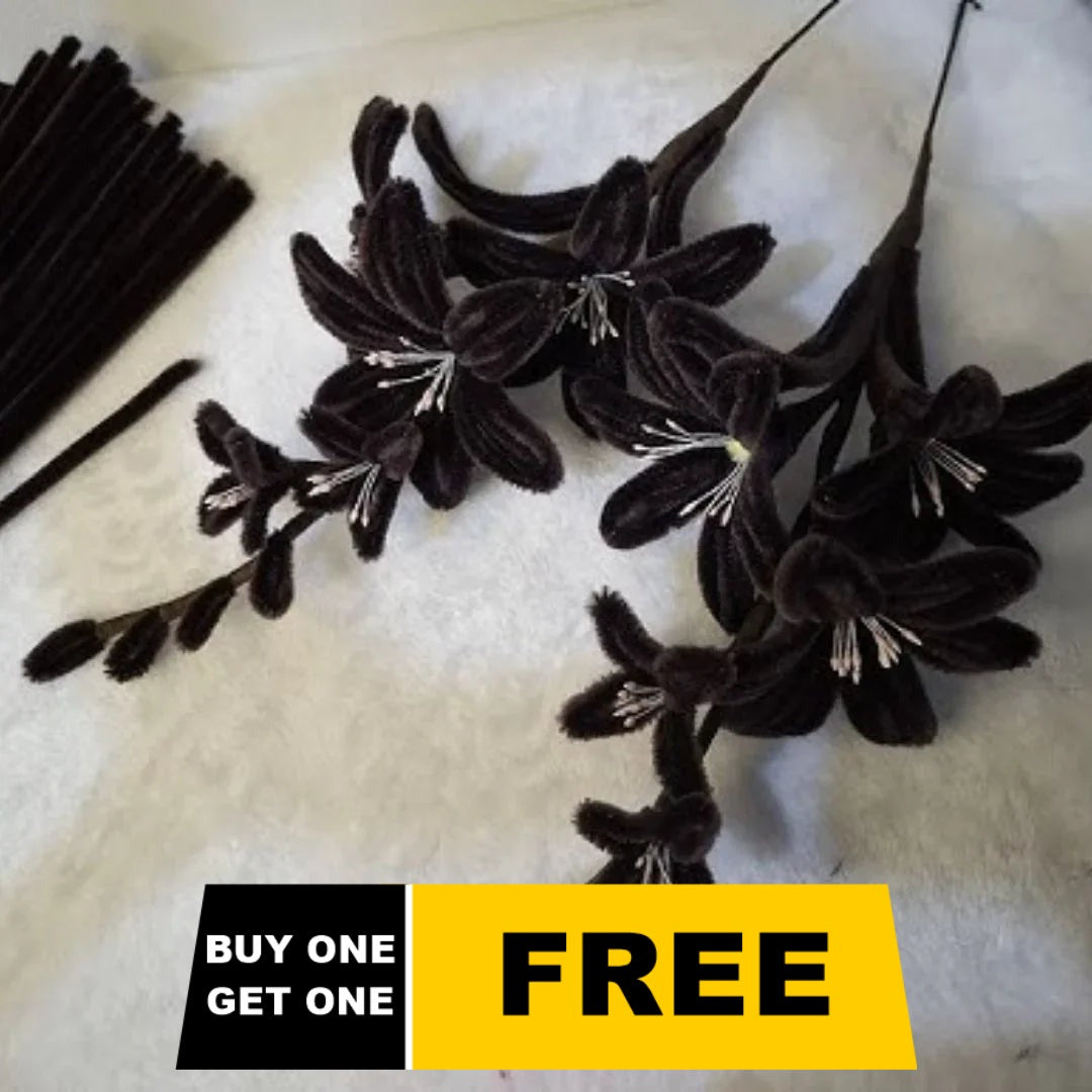 Buy 1 Get 1 Free Black Pipe Cleaner 200 pcs