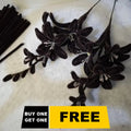 Buy 1 Get 1 Free Black Pipe Cleaner 200 pcs