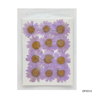 Dry Lalic Purple  Flower Korean Sheet for Journaling and Resin Art (Candle making)