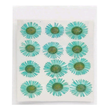 Dried flower sheet  (Contain 1 Unit2 pressed flower)