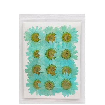 Craftdev Resin Art & Supplies Dry Green Flower Korean Sheet for Journaling and Resin Art (Candle making)