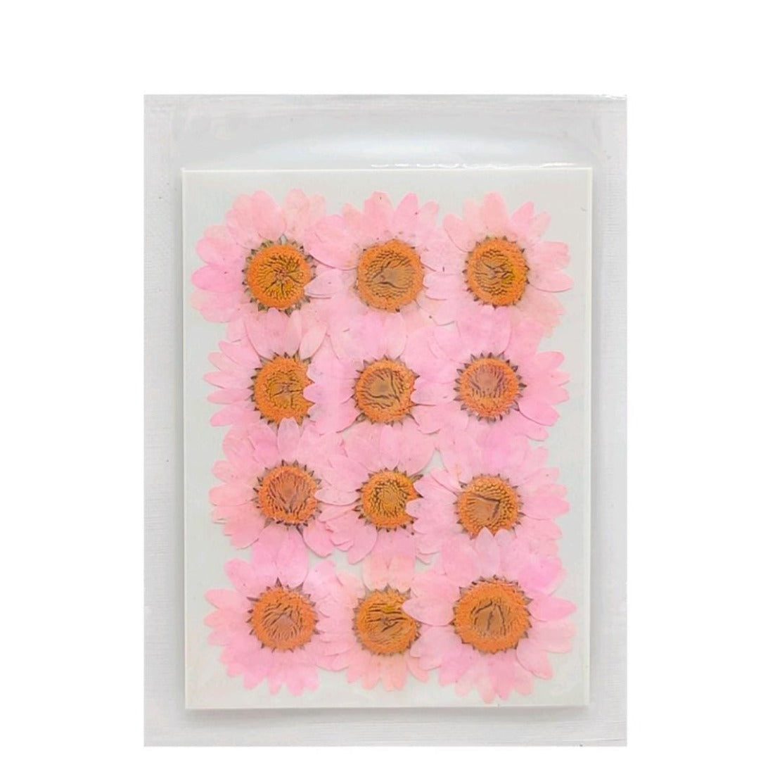 Craftdev Resin Art & Supplies Dry Pink Flower Korean Sheet for Journaling and Resin Art (Candle making)