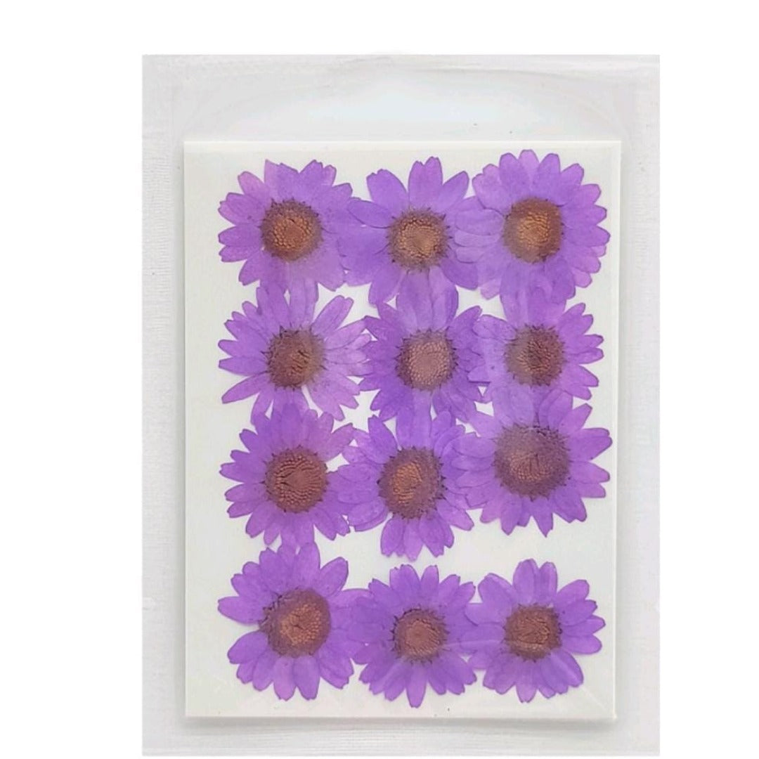 Craftdev Resin Art & Supplies Dry Purple  Flower Korean Sheet for Journaling and Resin Art (Candle making)