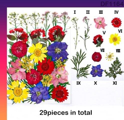 Dried Flower for Resin Dry Flower Sheet Df116-4