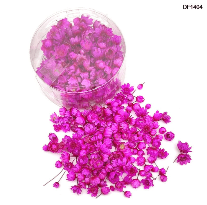 Dry Flower buds 140Pcs Round Box D Pink