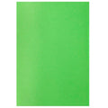 jags-mumbai 1 Felt Paper A3 Nonwoven Felt Sheet Light Green A3LGN102