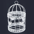 jags-mumbai Artificial Bird & Cage Medium Bird Cage Set of 3