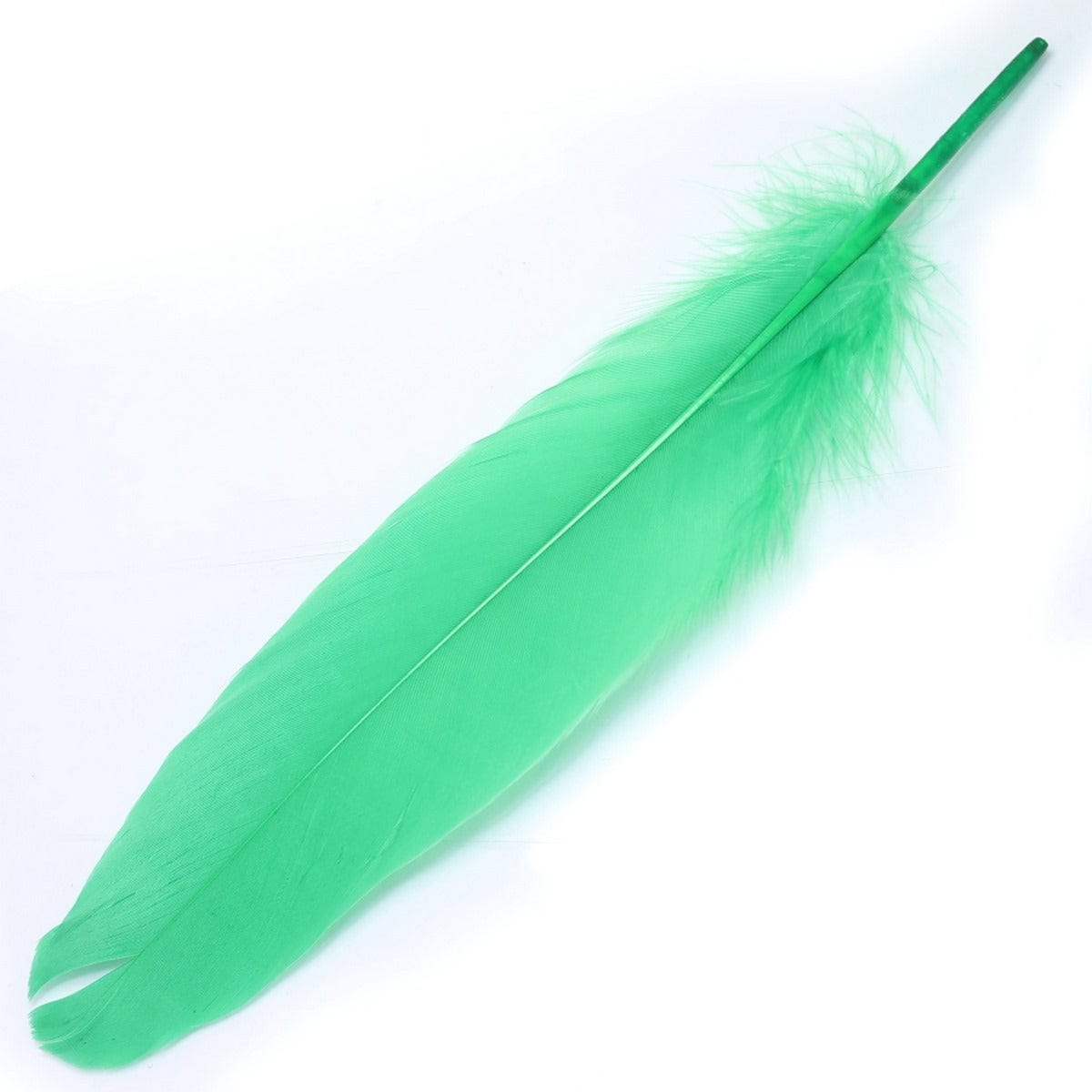 jags-mumbai Artificial Feather Feather Artificial Medium Multi 10pcs CFMM