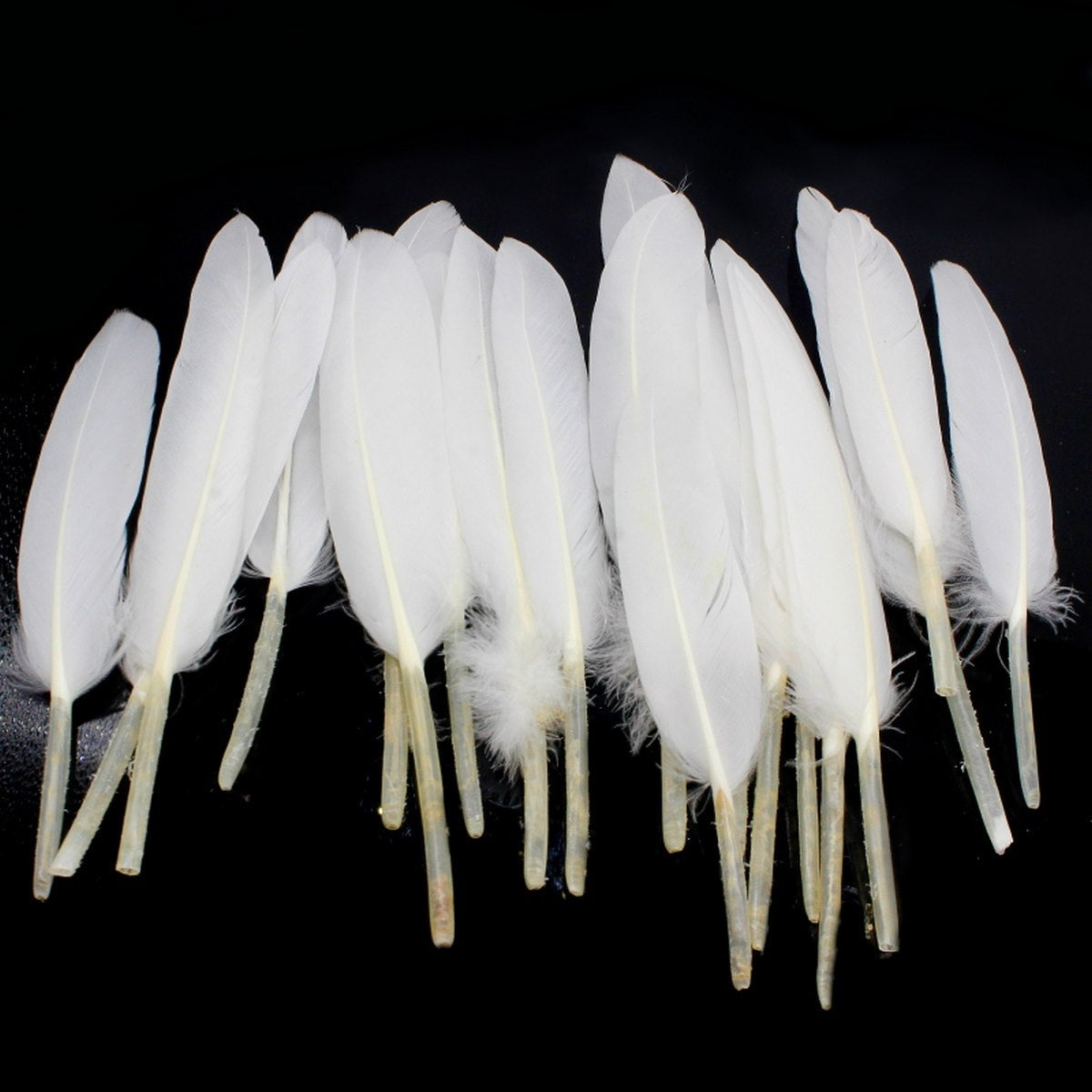 jags-mumbai Artificial Feather Feather Artificial Small White Colour 20pcs CFS-WE